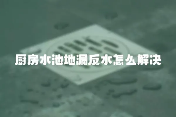 廚房水池地漏反水怎么解決