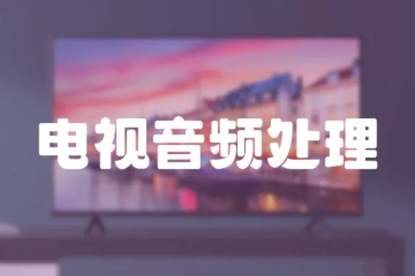 電視音頻處理