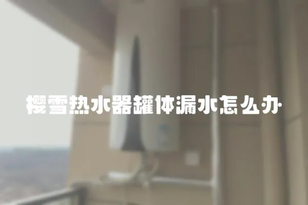 櫻雪熱水器罐體漏水怎么辦