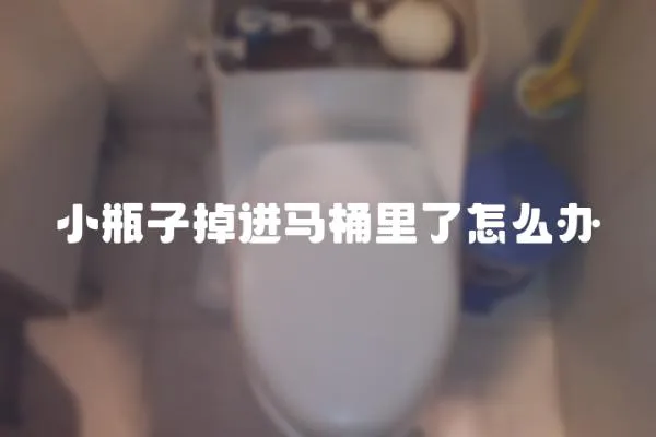 小瓶子掉進馬桶里了怎么辦