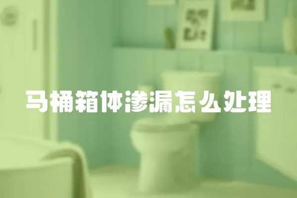 馬桶箱體滲漏怎么處理