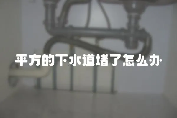 平方的下水道堵了怎么辦