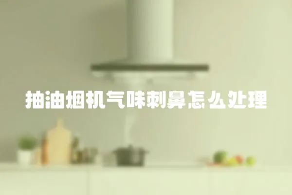 抽油煙機氣味刺鼻怎么處理