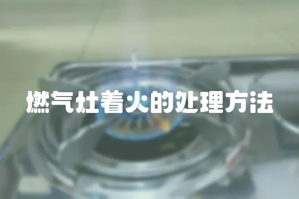 燃?xì)庠钪鸬奶幚矸椒?></a></div>
                    </div>
                    <div   id=