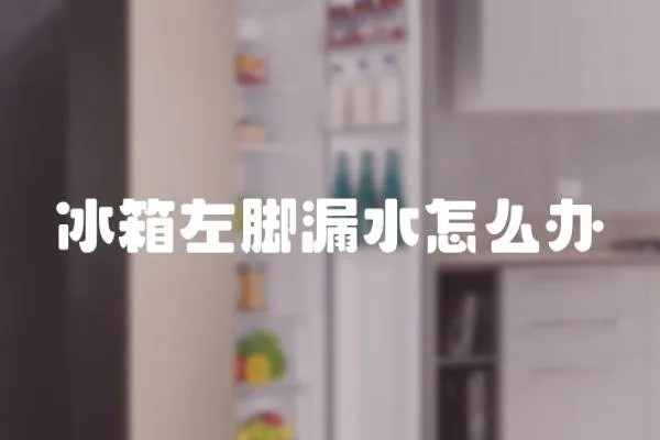 冰箱左腳漏水怎么辦
