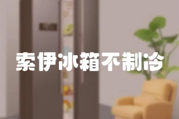 索伊冰箱不制冷