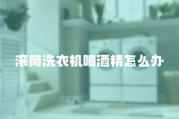 滾筒洗衣機噴酒精怎么辦