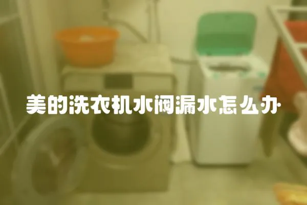 美的洗衣機水閥漏水怎么辦