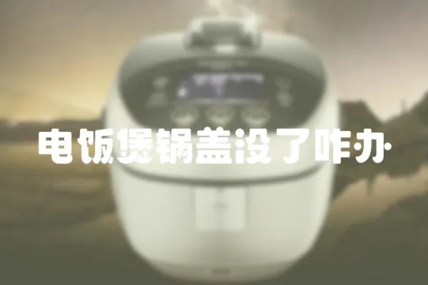 電飯煲鍋蓋沒了咋辦
