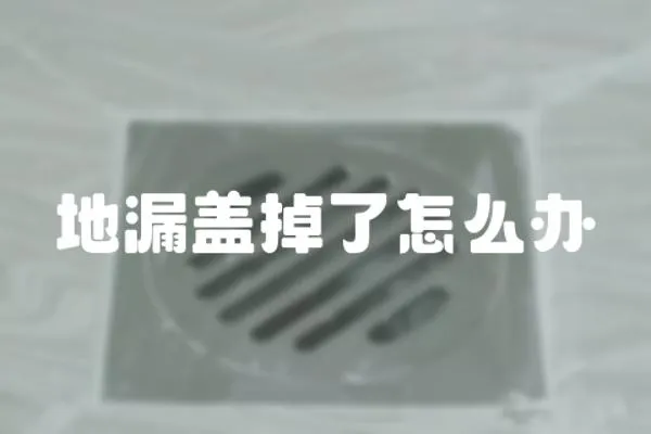 地漏蓋掉了怎么辦