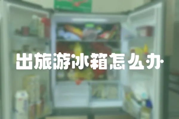 出旅游冰箱怎么辦