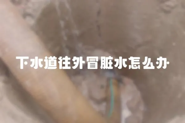 下水道往外冒臟水怎么辦
