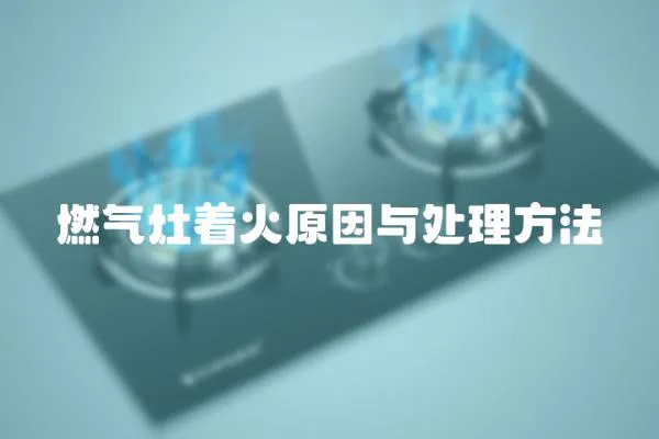 燃?xì)庠钪鹪蚺c處理方法