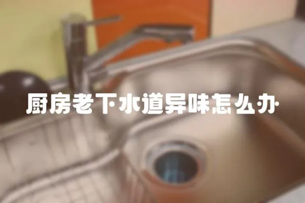 廚房老下水道異味怎么辦