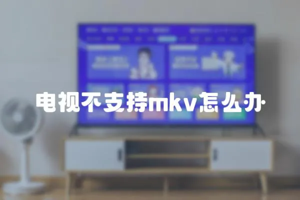 電視不支持mkv怎么辦