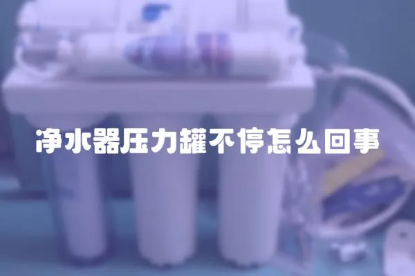 凈水器壓力罐不停怎么回事