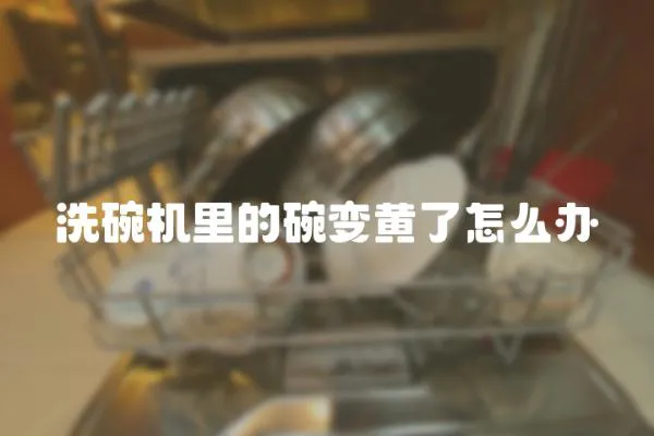 洗碗機(jī)里的碗變黃了怎么辦