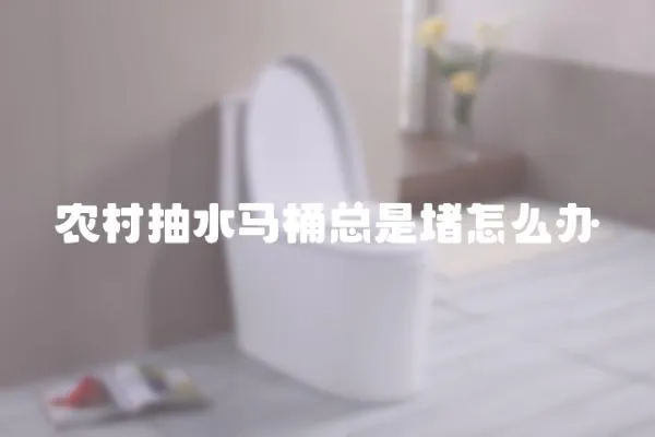 農村抽水馬桶總是堵怎么辦