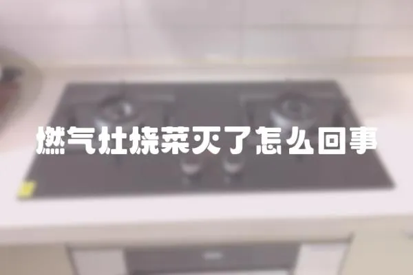 燃?xì)庠顭藴缌嗽趺椿厥?></a></div>
                    </div>
                    <div   id=