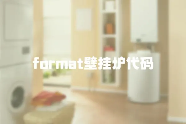 format壁挂炉代码