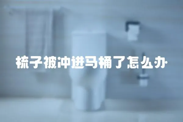 梳子被沖進馬桶了怎么辦