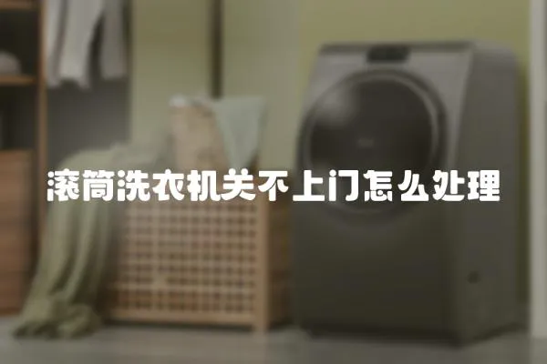 滾筒洗衣機關不上門怎么處理