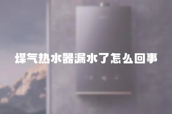 煤氣熱水器漏水了怎么回事
