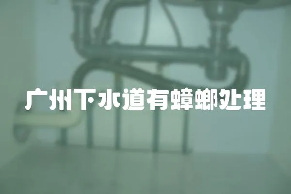 廣州下水道有蟑螂處理