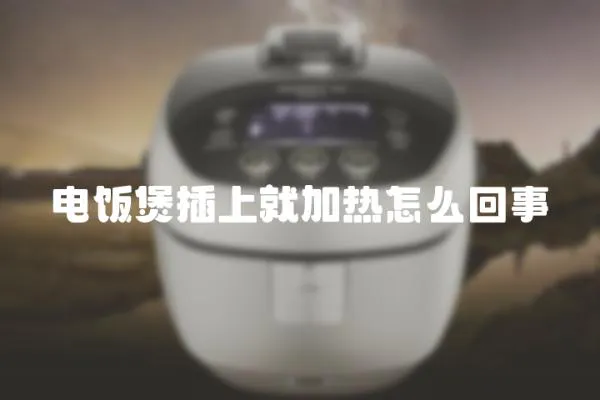 電飯煲插上就加熱怎么回事