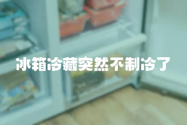 冰箱冷藏突然不制冷了