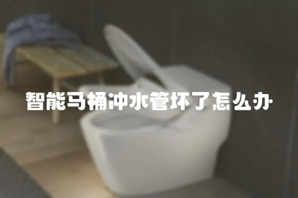 智能馬桶沖水管壞了怎么辦