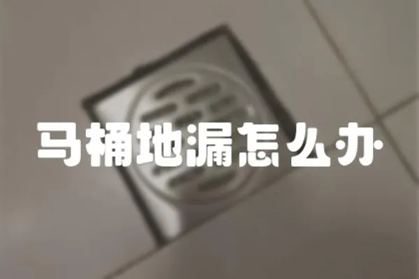 馬桶地漏怎么辦