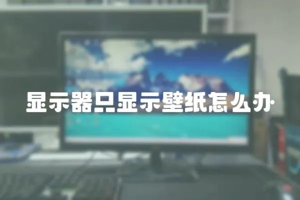 顯示器只顯示壁紙?jiān)趺崔k