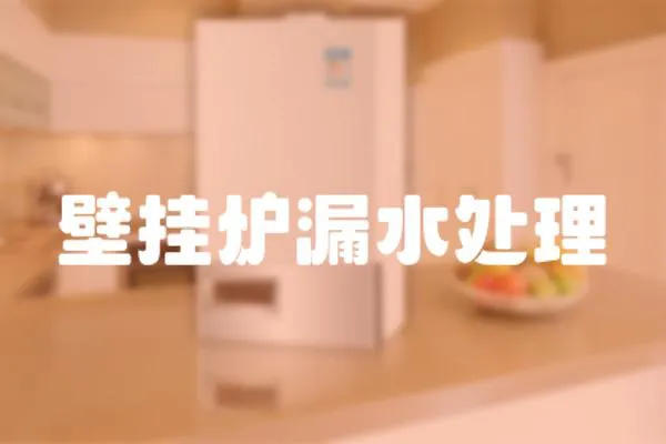 壁掛爐漏水處理