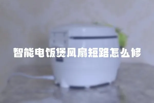 智能電飯煲風(fēng)扇短路怎么修