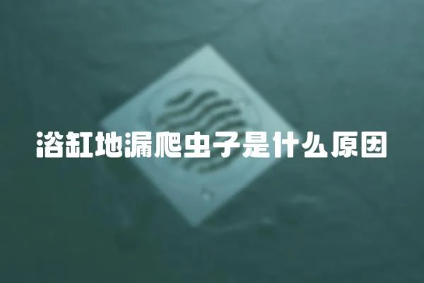 浴缸地漏爬蟲子是什么原因