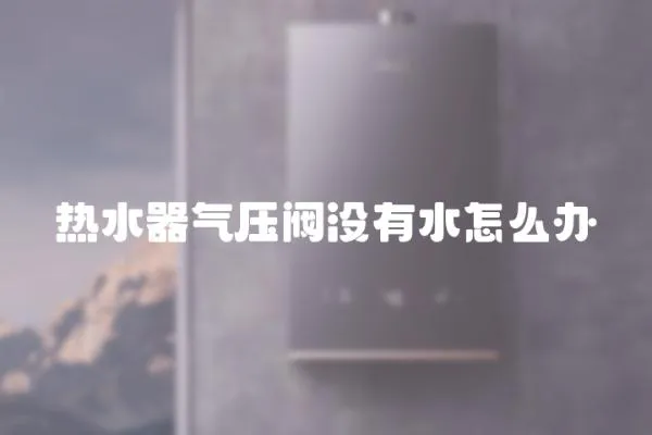 熱水器氣壓閥沒有水怎么辦