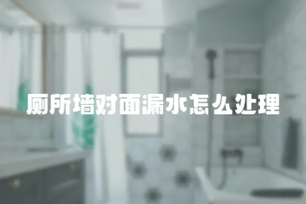 廁所墻對面漏水怎么處理