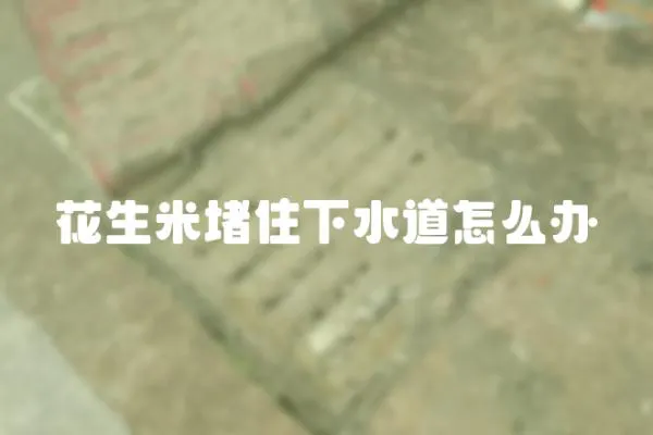 花生米堵住下水道怎么辦