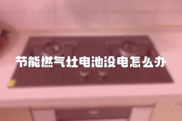 節(jié)能燃?xì)庠铍姵貨]電怎么辦