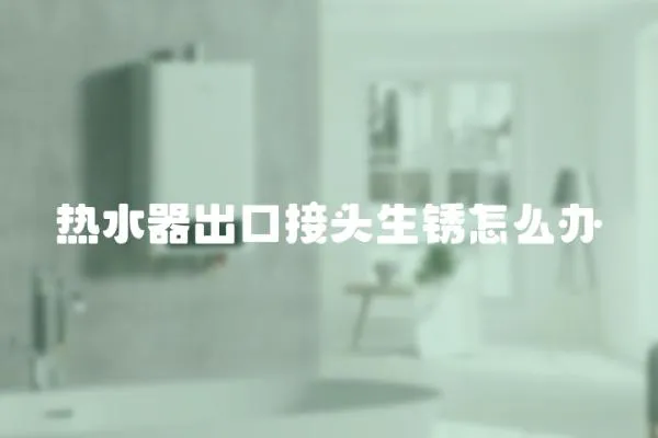 熱水器出口接頭生銹怎么辦