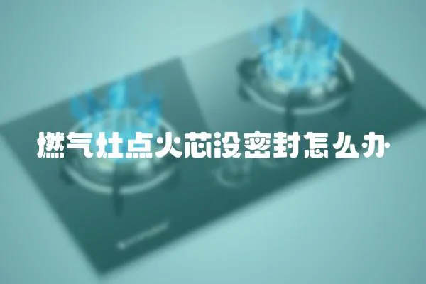 燃?xì)庠铧c(diǎn)火芯沒(méi)密封怎么辦