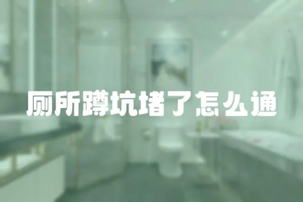 廁所蹲坑堵了怎么通