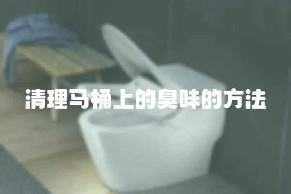 清理馬桶上的臭味的方法