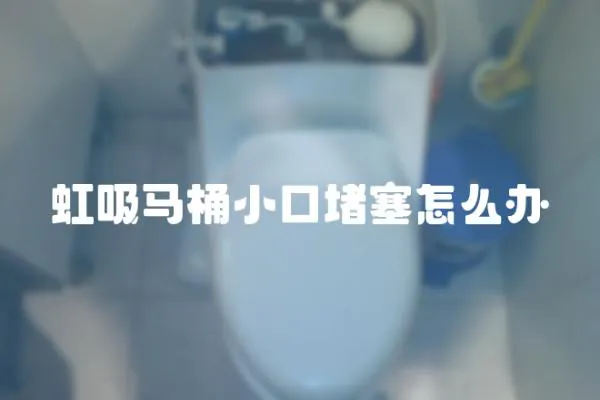 虹吸馬桶小口堵塞怎么辦