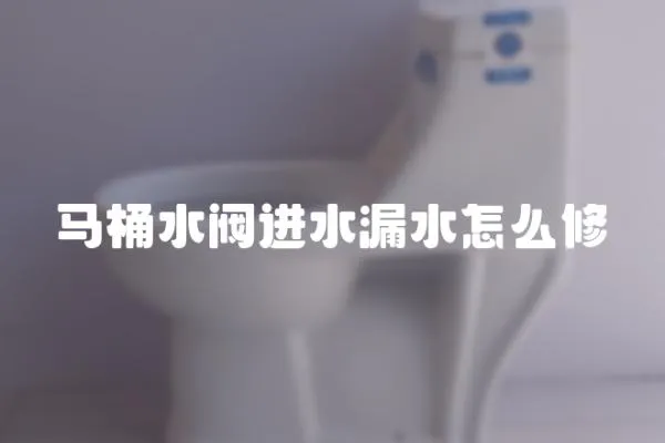 馬桶水閥進(jìn)水漏水怎么修