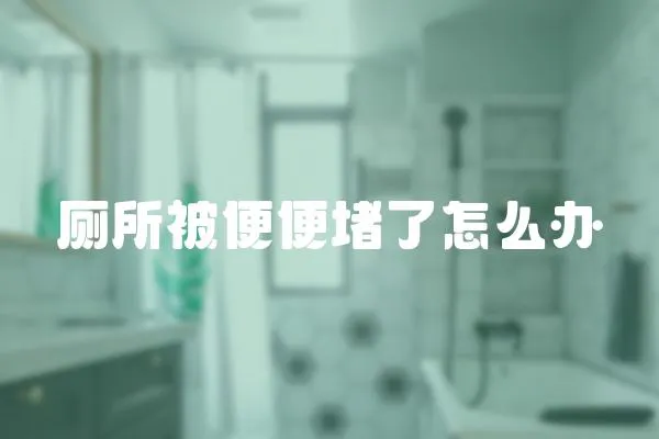 廁所被便便堵了怎么辦