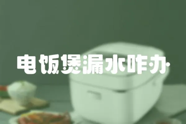 電飯煲漏水咋辦