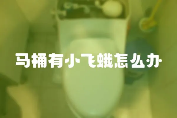 馬桶有小飛蛾怎么辦