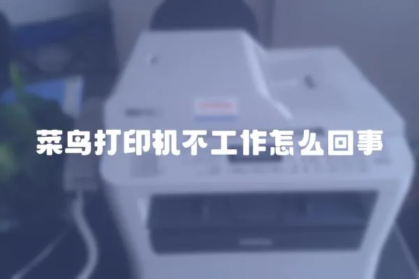 菜鳥打印機不工作怎么回事